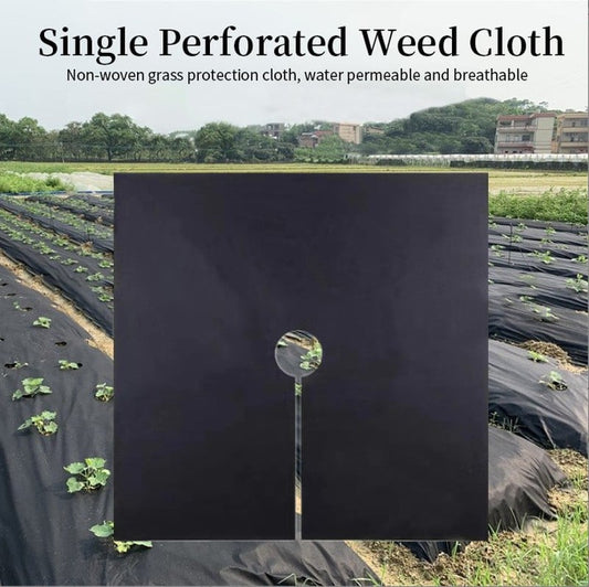 Eco-Friendly & Biodegradable Anti-Grass Cloth for Gardens and Landscaping