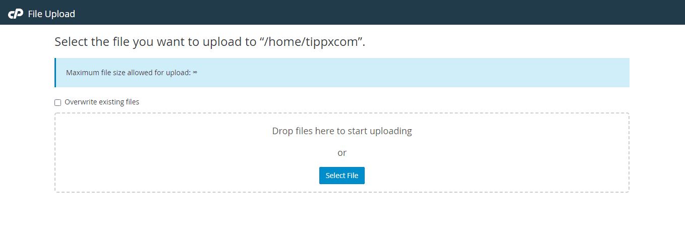 cPanel upload surface