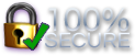100% secure logo